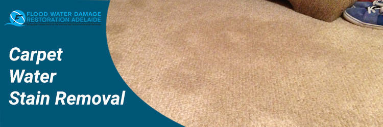 Carpet Water Stain Removal