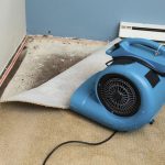 Carpet Water Extraction Service