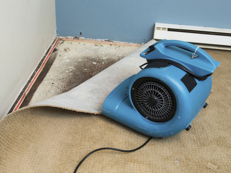 Carpet Water Extraction Service