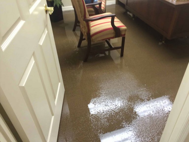 How To Remove Water Stains From Carpet Flood Water Damage Restoration