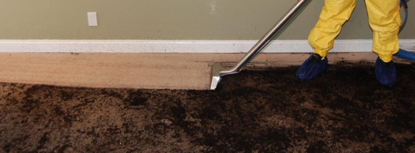 Carpet Sewage Cleaning Service Adelaide