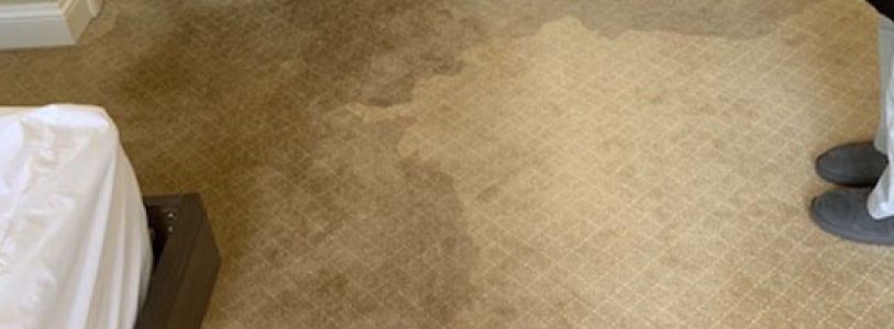 Water Damage Carpet Drying Adelaide